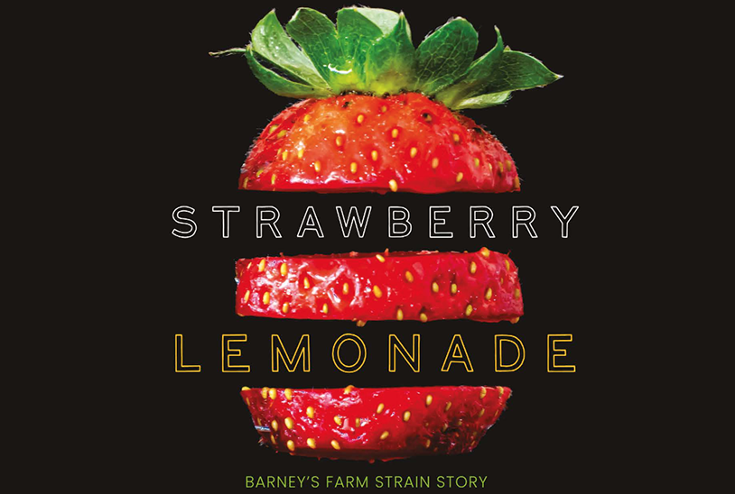A Barney's Farm Strain Story - Strawberry Lemonade, By G.B.I.