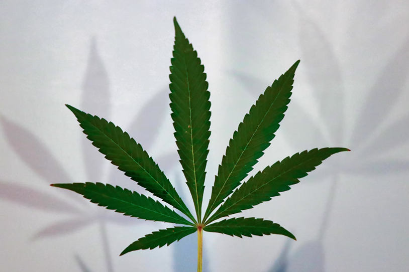 A Rose by any Other Name, By Simpa