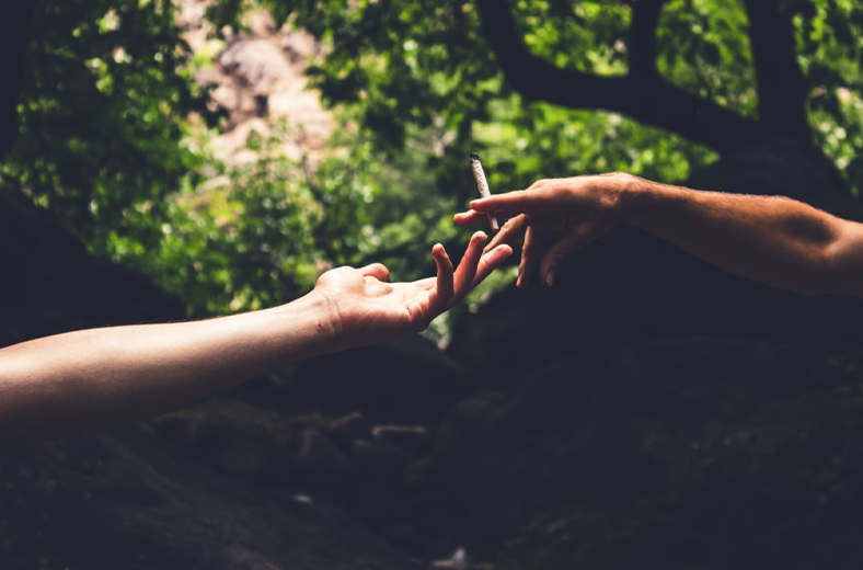 Morocco Is Gearing up to Target the European Cannabis Market, By Bethan Bee Rose