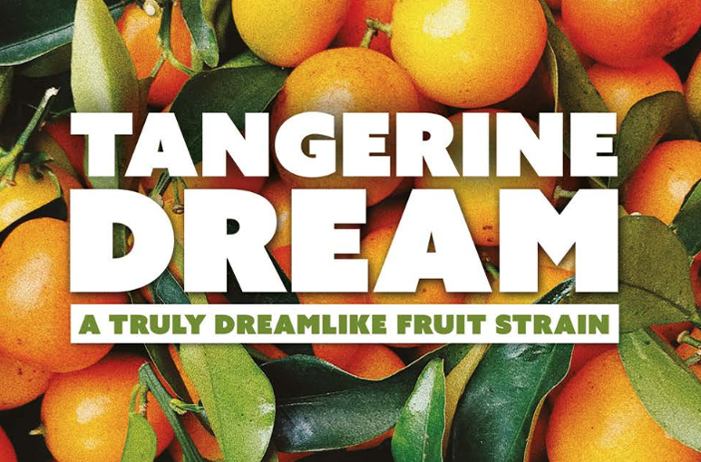 Tangerine Dream, A Truly Dreamlike Fruit Strain - By Barney's Farm