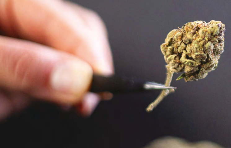 Where do we go from here?