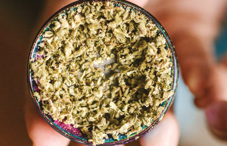 If Cannabis is Legalized, How Come the Black Market Continues to Prosper in California?