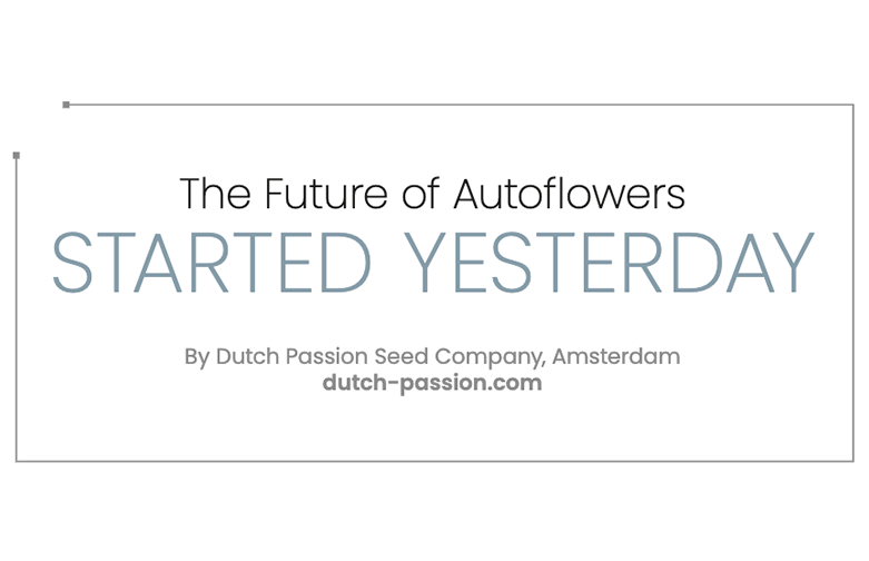The Future of Autoflowers Started Yesterday, By Dutch Passion
