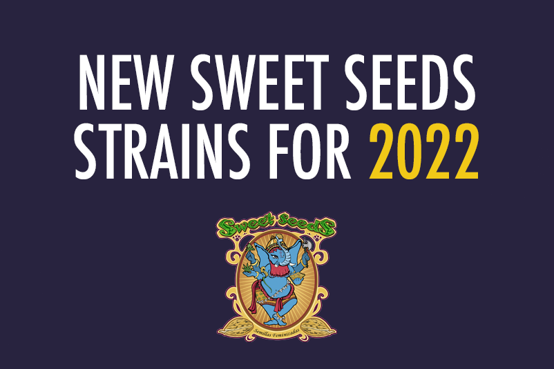 New Sweet Seeds® Strains for 2022