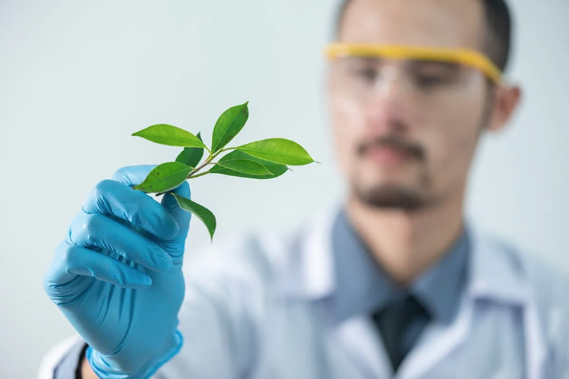 This Decades-old Discovery Demonstrates THC’s Herpes-fighting Capabilities