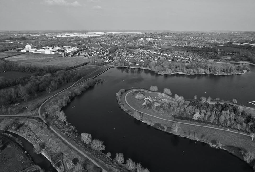 Ahead of the Cannabis Game