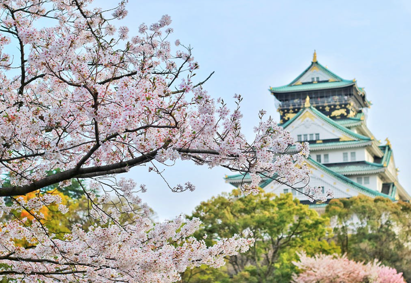 Japan Launches Trial Of CBD for Epilepsy