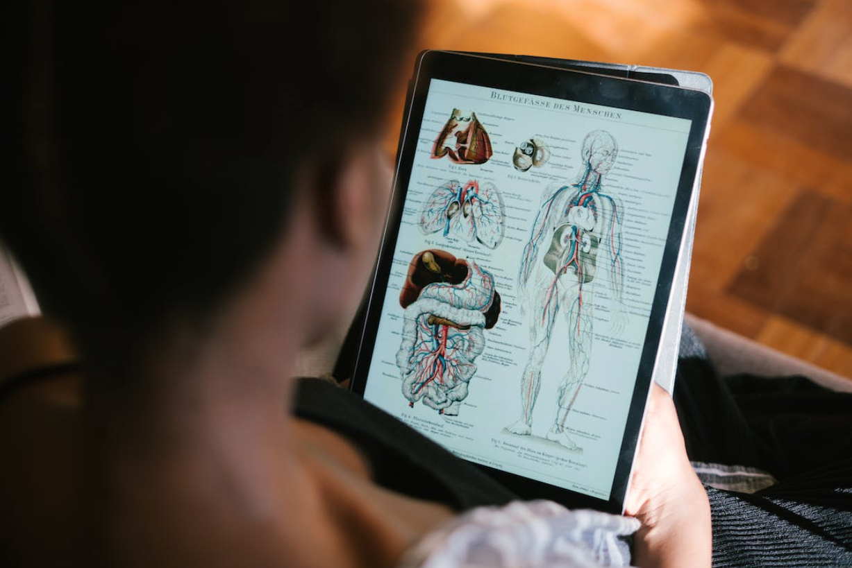 How Long Does THC Stay in the Human Body?