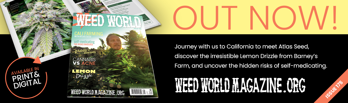 Weed World Latest issue 175