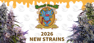 New Strains Sweet Seeds 2026