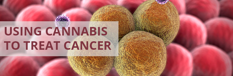 Using Cannabis to Treat Cancer